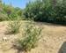 Trans-en-Provence - Piscine - Maison 145m2 - 20250814 114556