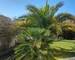 Maison Plain-Pied 3 Chambres à Saint-Aignan-GrandLieu. - 20250331 121504