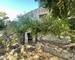 Hérault  Maison à rénover avec très fort potentiel - Img bbq jardin