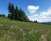 Superbe terrain constructible – 1900 m² - Whatsapp image 2025-07-24 à 16.12.57 95852322