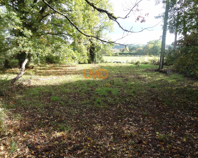 Terrain à batir 1710 m2 - Fidanza 009