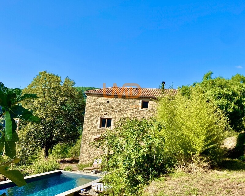  Maison en pierre Terrasse Jardin Piscine  - Vue avec piscine